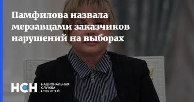 Памфилова назвала мерзавцами заказчиков нарушений на выборах