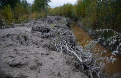 В Архангельске снова обнаружили загрязнение бетоном возле реки Юрас