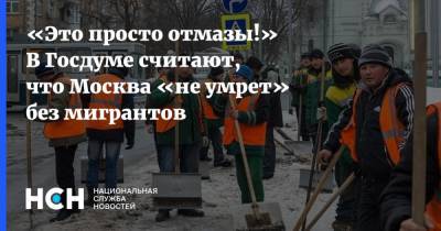 «Это просто отмазы!» В Госдуме считают, что Москва «не умрет» без мигрантов