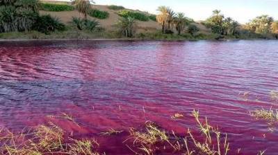 Воды ветхозаветного озера в Иордании окрасились в кроваво-красный цвет