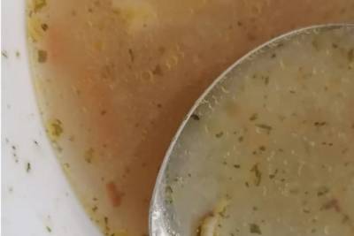 Читинские лицеисты пожаловались на личинку в супе — факт не подтвердился