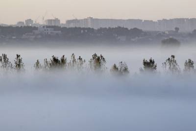 В Курской области 15 сентября предсказывают туман и до +21 градуса днем