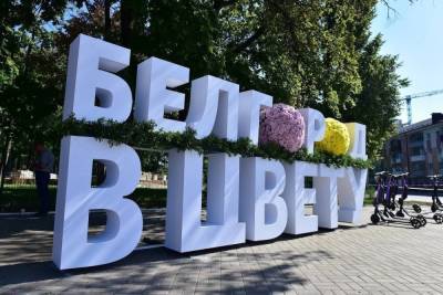 Более 60 тысяч цветов было высажено к фестивалю «Белгород в цвету»