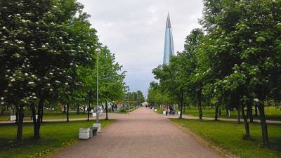 Петербуржцы вновь могут посетить скверы и парки после двухдневного шторма