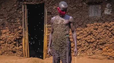 Король пчел из Африки каждый день гуляет по городу с ульем на своем теле (Видео)