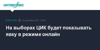 На выборах ЦИК будет показывать явку в режиме онлайн