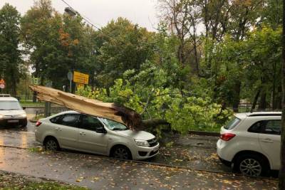 Погребенные машины, вырванные деревья и «приунывшие» светофоры: как шторм прошелся по Петербургу