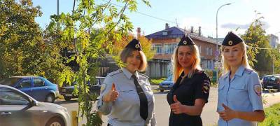Транспортные полицейские посадили аллею рябин в Петрозаводске