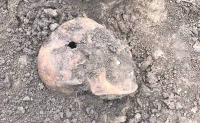 Поисковики нашли останки погибшего красноармейца, сражавшегося под Гатчиной — фото