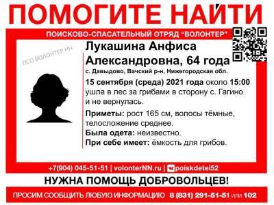 64-летняя пенсионерка пропала в лесу в Вачском районе