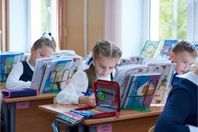 Школьную выплату в 10 тысяч рублей получили 20,6 млн детей – Учительская газета