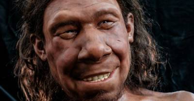 Умер 70 тысяч лет назад. Ученые воссоздали реальное лицо неандертальца с опухолью в голове