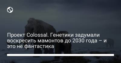 Проект Colossal. Генетики задумали воскресить мамонтов до 2030 года – и это не фантастика