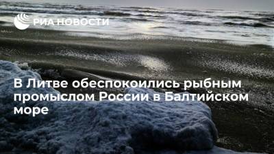 Александр Савельев - Представители Литвы в Совете ЕС требуют сократить добычу рыбы Россией в Балтийском море - ria.ru - Москва - Россия - Литва - Вильнюс