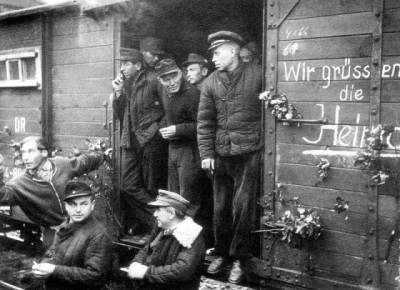 Как в Германии относились к немцам, вернувшимся из советского плена