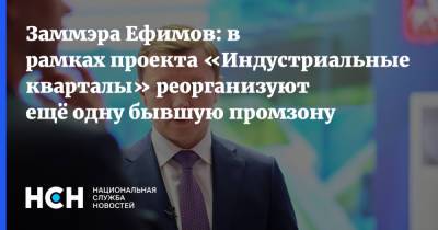 Заммэра Ефимов: в рамках проекта «Индустриальные кварталы» реорганизуют ещё одну бывшую промзону