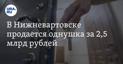 В Нижневартовске продается однушка за 2,5 млрд рублей