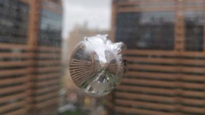Житель Мурино обнаружил следы от пуль на окнах квартиры – фото