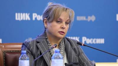 Памфилова заявила, что 249 международных наблюдателей присоединятся к выборам в Госдуму