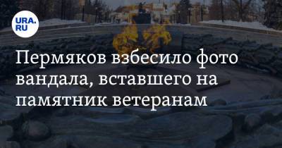 Пермяков взбесило фото вандала, вставшего на памятник ветеранам. «Поймать и ноги вырвать!»