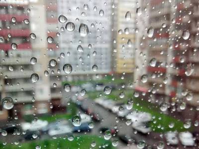 В Петербурге возможны дожди