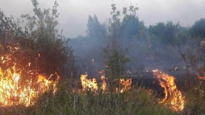В Башкирии за сутки ликвидировали два лесных пожара