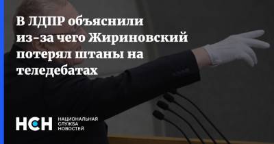 Владимир Жириновский - В ЛДПР объяснили из-за чего Жириновский потерял штаны на теледебатах - nsn.fm - Россия