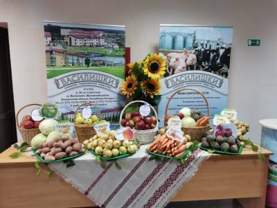 В этом году белорусские аграрии планируют получить не менее 5,8 миллиона тонн картофеля и 1,8 миллиона тонн овощей