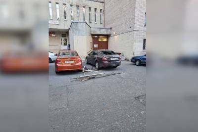 Мощный ветер повалил деревья и вырвал знаки в Петербурге