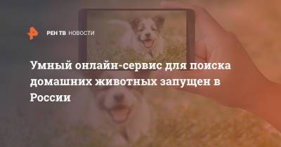 Умный онлайн-сервис для поиска домашних животных запущен в России