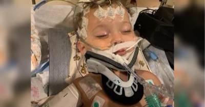 Однорічний племінник Шерон Стоун після смерті став донором органів і врятував життя трьох людей