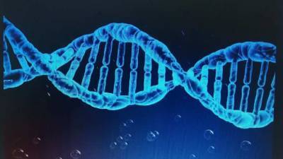 Учёные нашли сотни древних вирусов в ДНК млекопитающих
