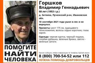 В Ивановской области ищут дедушку, пропавшего в лесу