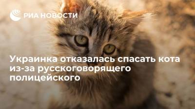 УНИАН: украинка отказалась спасать кота из-за нежелания полицейского говорить на мове