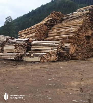 На Буковине незаконно вырубили заповедные деревья на площади 1,8 га