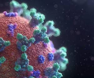 Новые исследования подтверждают наличие «сверхчеловеческого» иммунитета к Covid-19 у некоторых людей