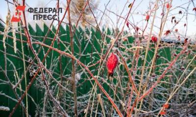 В Челябинской области ожидается мокрый снег и заморозки