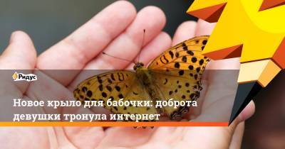 Новое крыло для бабочки: доброта девушки тронула интернет