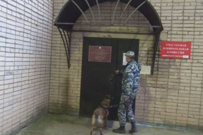 Новгородские полицейские заработали в усиленном режиме из-за выборов