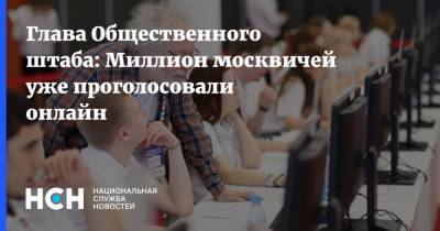 Глава Общественного штаба: Миллион москвичей уже проголосовали онлайн