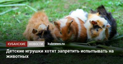 Детские игрушки хотят запретить испытывать на животных - kubnews.ru