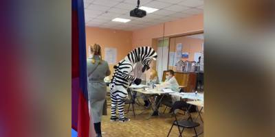 Первый день выборов принес массу забавных курьезов на участках