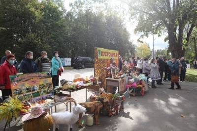 Смотр-конкурс «Ветеранское подворье» состоялся в Локнянском районе