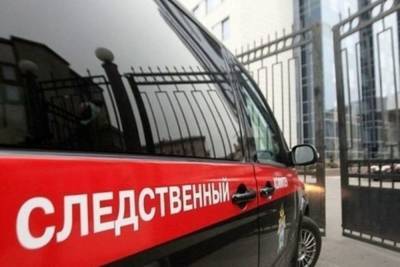Двух иностранцев задержали в Подмосковье по делу об убийстве пенсионерки