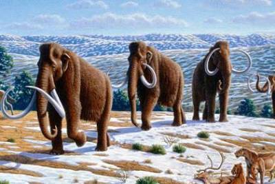 Ученые решили заселить Сибирь мамонтами для борьбы с глобальным потеплением