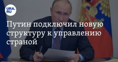 Путин подключил новую структуру к управлению страной