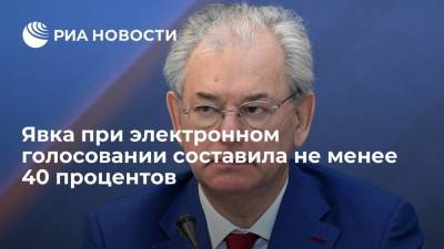 Замглавы ЦИК Булаев: явка при онлайн-голосовании составила не менее 40 процентов