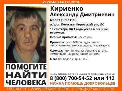 В Кировском районе без вести пропал 69-летний мужчина