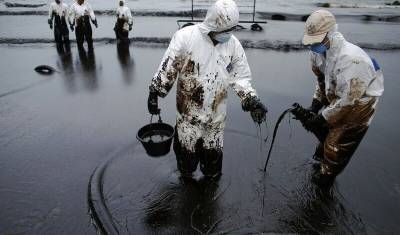 Черное море захлебнулось нефтью: КТК пытается найти помощь у экологов и власти