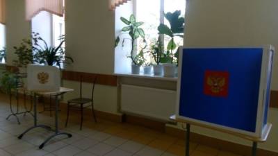 Европейские наблюдатели на выборах в России восхитились степенью подготовки к голосованию